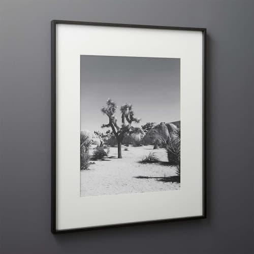 Gallery Black Picture with White Mat with Frame-16"x20" image