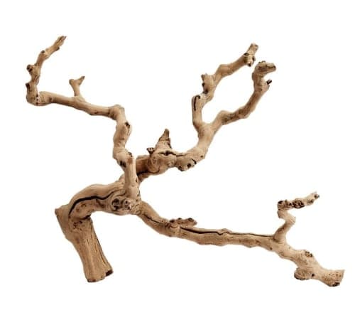 Dried Grapewood Branch - Natural - One image